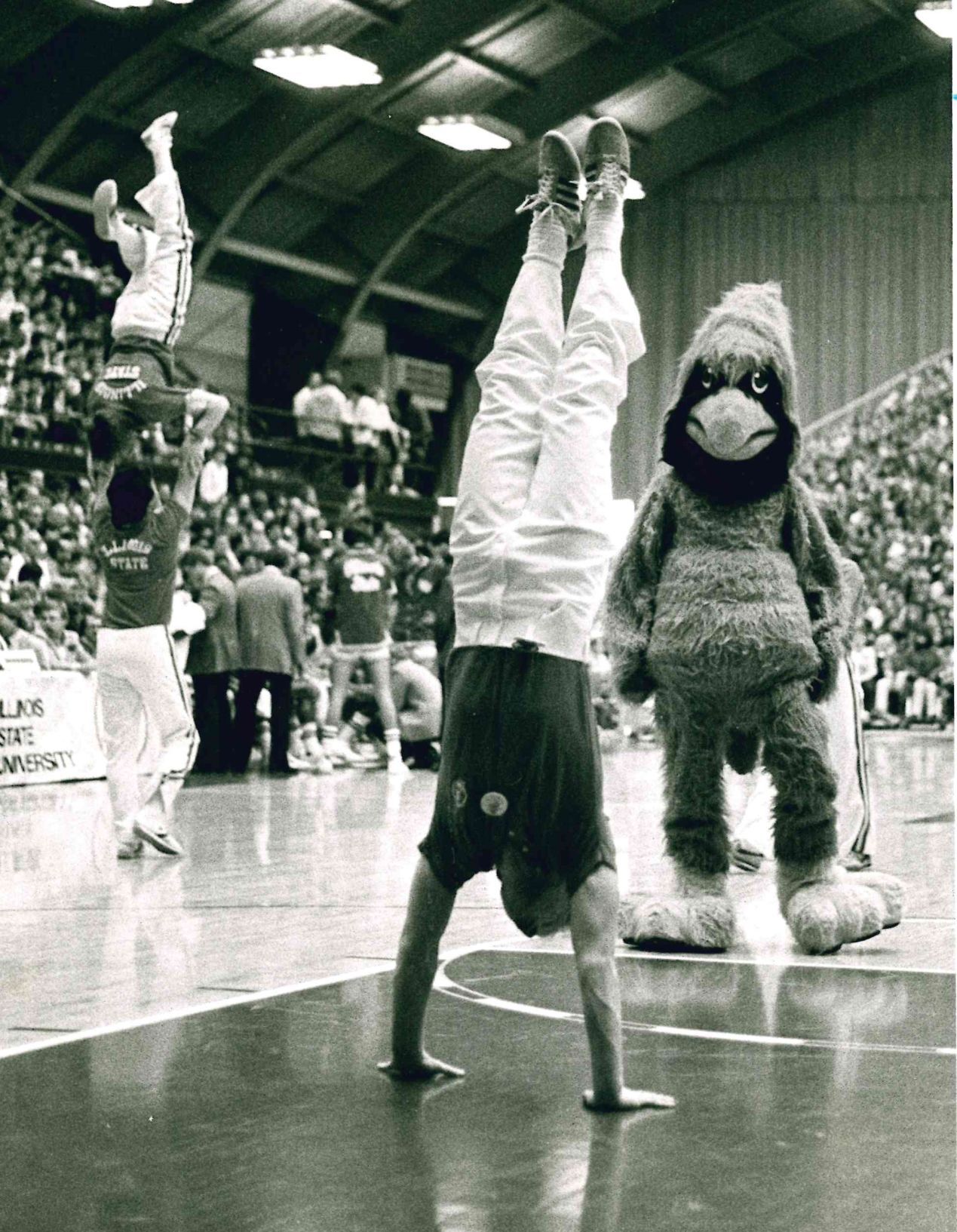 Reggie the Redbird mascot